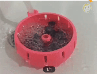 洗水果機
